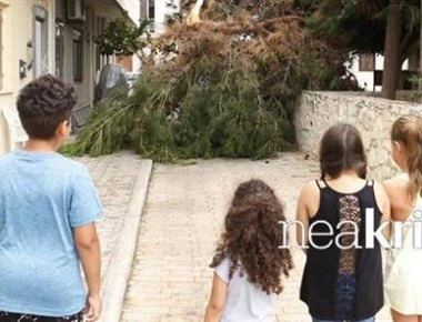 Κρήτη: Άγιο είχαν παιδιά σε πάρκο της Αλικαρνασσού - Δέντρο έπεσε ακριβώς δίπλα τους! (φωτό)